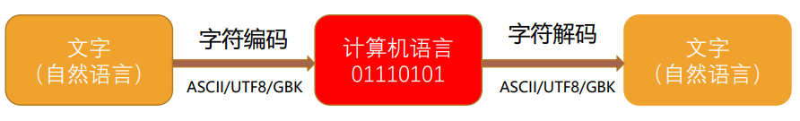 image-20240201155504510